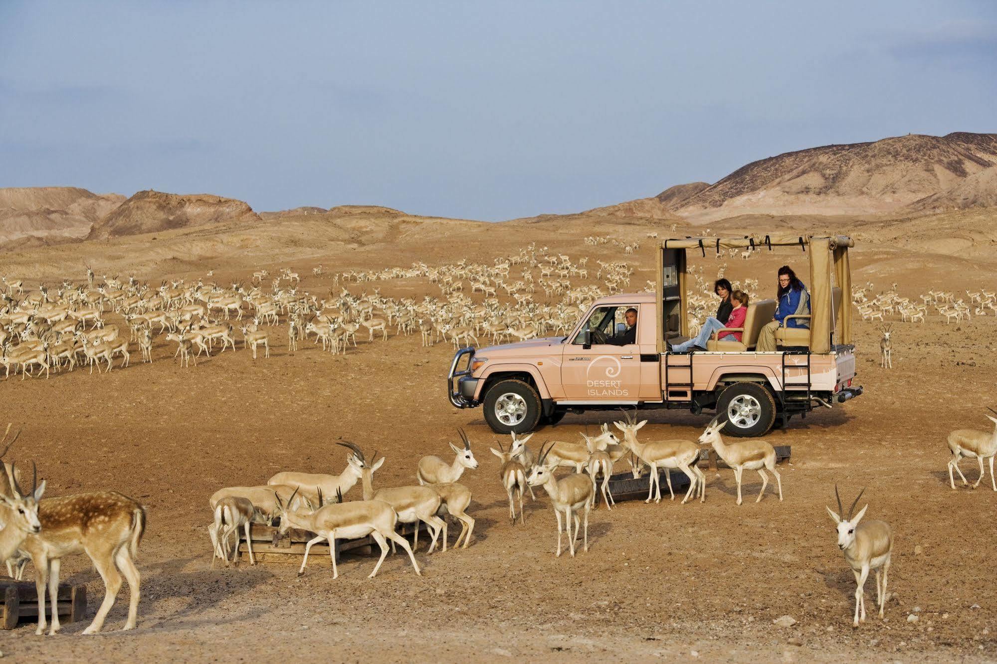 Anantara Sir Bani Yas Island Al Sahel Villas Zahr Экстерьер фото