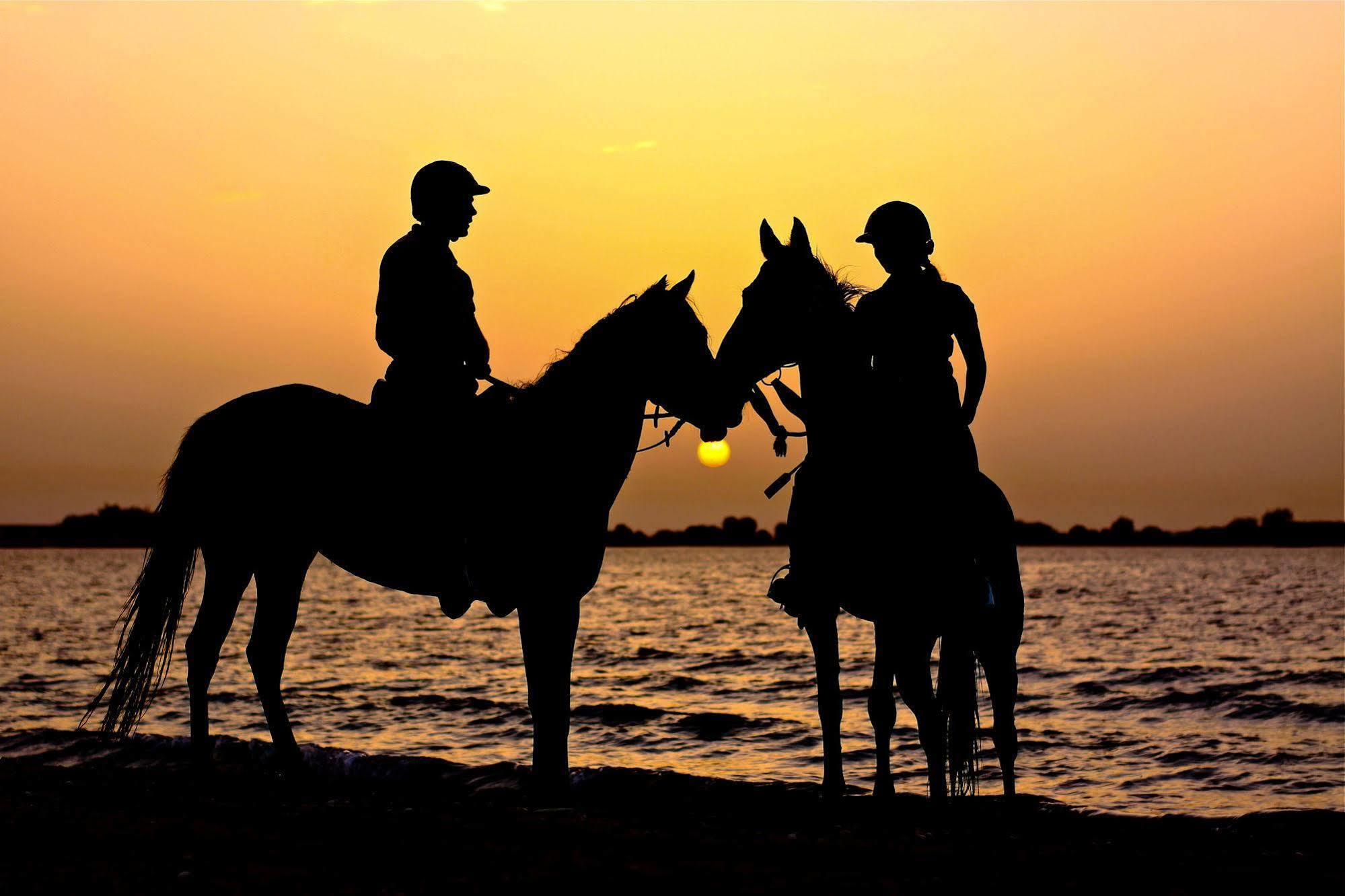 Anantara Sir Bani Yas Island Al Sahel Villas Zahr Экстерьер фото