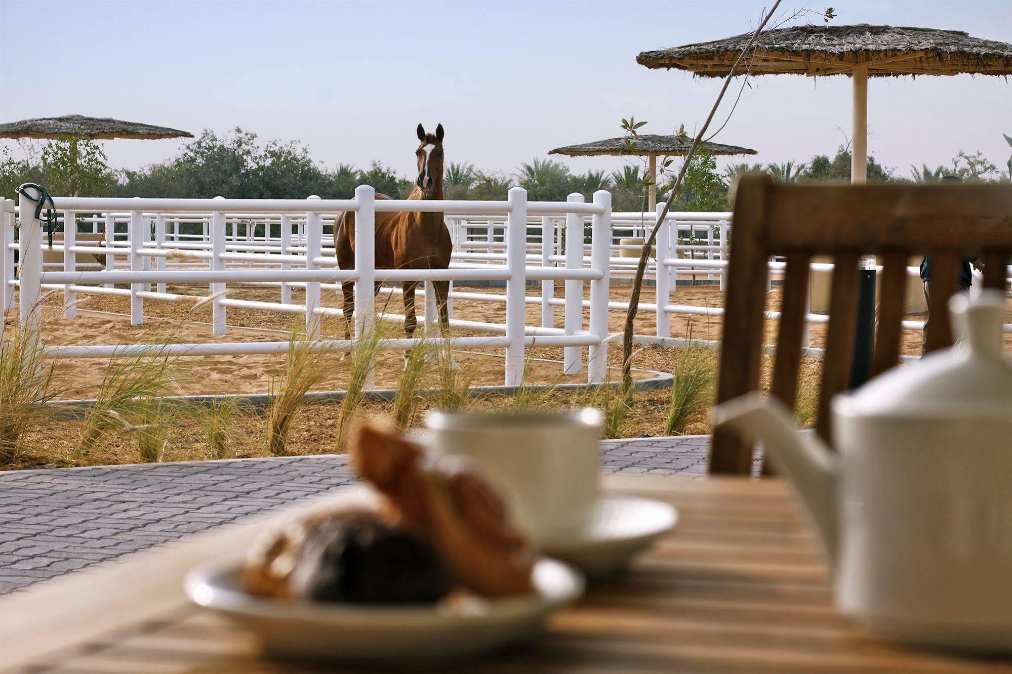 Anantara Sir Bani Yas Island Al Sahel Villas Zahr Экстерьер фото